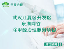 武漢江夏區東湖網(wǎng)谷辦公室除甲醛治理服務(wù)項目