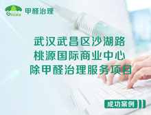 武漢武昌區桃源國際商業(yè)中心除甲醛治理服務(wù)項目