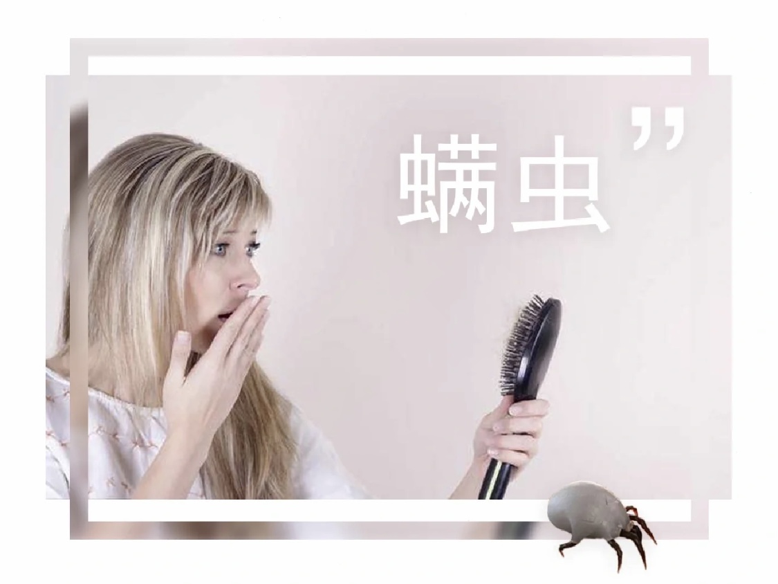 螨蟲(chóng)對(duì)我們的危害有多大？